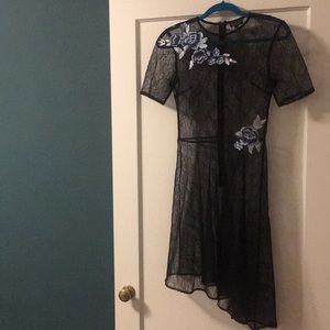 Topshop Embroidered Floral Lace Dress